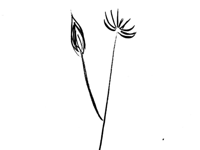 a paz quer o&nbsp;hoje