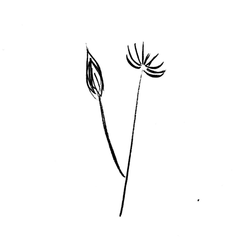 a paz quer o&nbsp;hoje