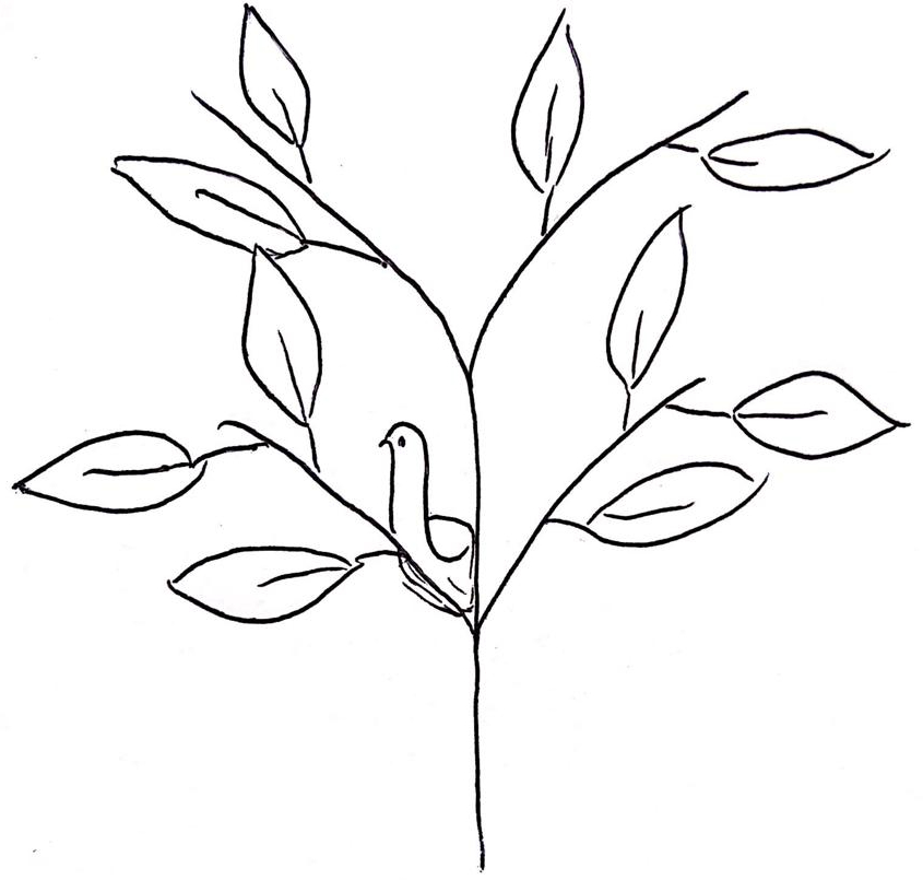 é folha esse&nbsp;passarinho?